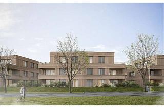 Wohnung kaufen in In Den Hofwiesen 20, 74388 Talheim, Neubau! Effizienzhaus 40! Modernes 2-Zimmer-Penthaus (C5) in zentrumsnaher Lage von Talheim