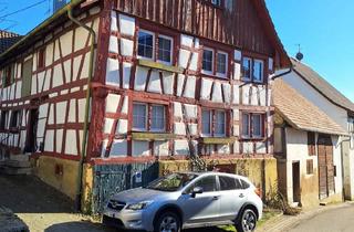 Wohnung mieten in Ledergasse, 78337 Öhningen, Zwischenmiete für Wohnung in Öhningen auf der Höri / Bodensee