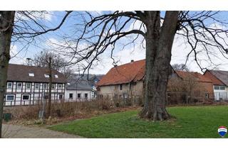 Grundstück zu kaufen in 31167 Bockenem, Grundstück in idyllischer Dorflage mit guter Anbindung - Bockenem/Nette