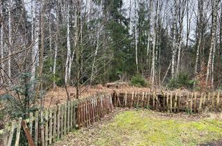 Grundstück zu kaufen in 29345 Unterlüß, Grundstück mitten in der Natur und direkt am Bach