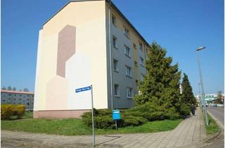 Wohnung mieten in Wilhelm-Pieck-Ring 01, 04916 Herzberg/Elster, Zwei-Raum-Wohnung zentral in Herzberg zu vermieten