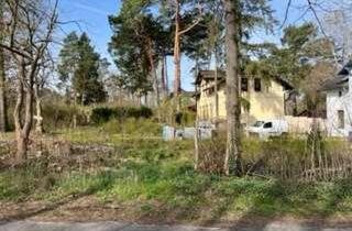 Grundstück zu kaufen in Am Eiskutenberg, 15806 Zossen, Dein Bauplatz in Wünsdorf - fussläufig zum Bahnhof; jetzt Dein zu Hause bauen !