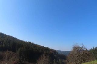 Grundstück zu kaufen in 64757 Rothenberg, Wohnen mit toller Aussicht!