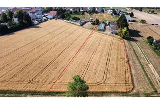 Immobilie kaufen in 67245 Lambsheim, Landwirt oder Winzer gesucht!