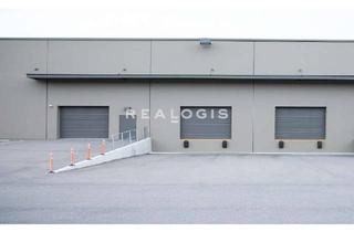 Gewerbeimmobilie mieten in 72793 Pfullingen, Lager-/Produktionsfläche mit ausreichend Freifläche zu vermieten!