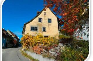 Einfamilienhaus kaufen in 78253 Eigeltingen, Eigeltingen - Für Handwerker oder Bauunternehmen, Einfamilienhaus Bauernhaus