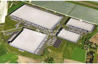 Gewerbeimmobilie mieten in 26197 Großenkneten, Großflächige Projektentwicklung I Rampe I 12,20m UKB I Anmietung über C&W