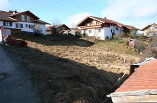 Grundstück zu kaufen in 82409 Wildsteig, Voll erschlossenens Baugrundstück für ein Einfamilienhaus in Wildsteig