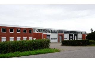 Büro zu mieten in 49808 Lingen, Lager- und Produktionshalle mit vielen Büros !!