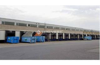 Gewerbeimmobilie mieten in 54516 Wittlich, Lager- und Logistikhalle mit Rampenandienung verkehrsgünstig an der A60 gelegen!