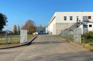 Büro zu mieten in Cronsbostel, 31515 Wunstorf, Lager ab 250 qm- 25.000 qm & Büroflächen (ab 1 Büro) in Wunstorf kurzfr. Laufzeiten möglich