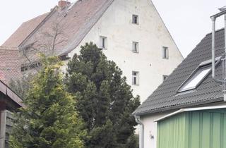 Haus kaufen in Von-Muffel-Platz, 90542 Eckental, Eckentaler Schloss - Sanierungsprojekt mit enormen Steuervorteil