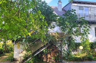 Haus kaufen in 78479 Reichenau, Freistehendes, gepflegtes Haus mit zwei eigenständigen Wohnungen auf der Insel Reichenau