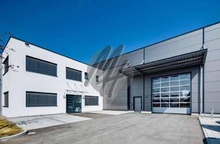 Büro zu mieten in 64832 Babenhausen, NEUBAU ✓ Lager-/Fertigung (1.000 m²) & Büro-/Sozial (400 m²) zu vermieten