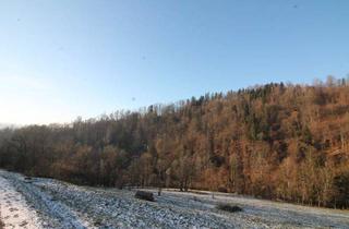 Grundstück zu kaufen in 94130 Obernzell, Obernzell: 35.684 m² landwirtschaftliche Nutzfläche – Wiese – ideal auch als Ausgleichsfläche