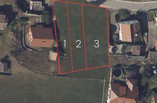 Grundstück zu kaufen in Lenzengasse 11, 88478 Mietingen, Grundstücke mit Mietingen zu verkaufen!