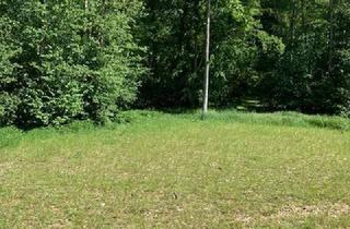 Grundstück zu kaufen in 85293 Reichertshausen, idyllisches Parkgrundstück in Reichertshausen - DHH -30 min nördlich München - 5 min zum Bhf.