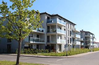 Wohnung mieten in Edenkobener Straße, 01471 Radeburg, 2 Raumwohnung mit Balkon in Radeburg (74 m²)