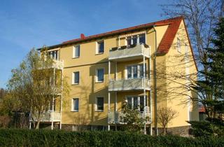 Wohnung kaufen in 04838 Jesewitz, Vermietetes Dachgeschoss im Grünen nahe S-Bahnanschluss