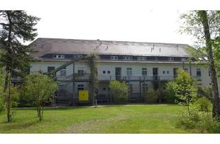 Wohnung mieten in Amselweg, 04758 Oschatz, Stilvoll Wohnen im Grünen: Gemütliche Zwei-Zimmer-Wohnung mit großem Balkon in Oschatz