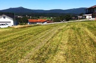 Grundstück zu kaufen in 94568 Sankt Oswald-Riedlhütte, Großes Grundstück mit tollem Ausblick!!!