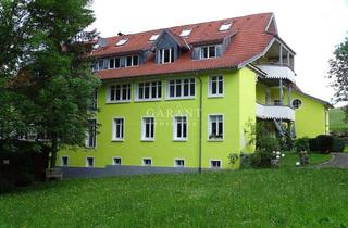 Mehrfamilienhaus kaufen in 79669 Zell im Wiesental, Einzigartiges Mehrfamilienhaus mit großem Parkareal in außergewöhnlicher Lage !!!