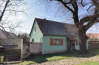 Haus kaufen in Rothenburger Straße, 06193 Wettin, Derzeit reserviert - Gemütlicher Hof im grünen Saaletal in Dobis