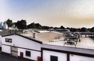 Büro zu mieten in Harz Str. 10, 38723 Seesen, Hallenensemble im Gewerbepark Niedersachsen Laderampe- große Tore Büroflächen