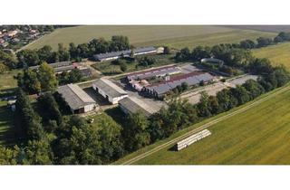 Gewerbeimmobilie kaufen in Treskower Weg, 16816 Neuruppin, Projektfläche mit landwirtschaftlicher Gewerbeflächennutzung sucht neue Herausforderungen