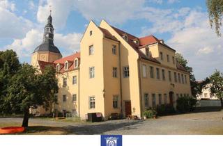 Wohnung mieten in 01796 Pirna, Die perfekte Familienwohnung im charmanten Schloss Zehista!