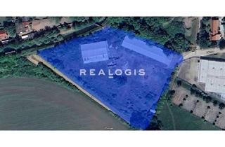 Gewerbeimmobilie kaufen in 38820 Halberstadt, Verkauf! 15.000 m² Grundstück mit zwei Lagerhallen in Halberstadt