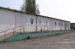 Gewerbeimmobilie kaufen in 38820 Halberstadt, Verkauf! 15.000 m² Grundstück mit zwei Lagerhallen in Halberstadt