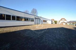 Gewerbeimmobilie kaufen in 64653 Lorsch, "BAUMÜLLER AG" - ca. 4.100 qm Halle + ca. 200 qm Büro / ca. 18.000 qm Grundstück / große Grünfläche!
