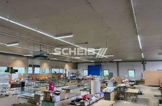 Gewerbeimmobilie mieten in 74597 Stimpfach, Lagerhalle frei gespannt