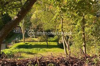 Grundstück zu kaufen in Schersental, 99706 Sondershausen, Schöner Bauplatz (Baulücke) und eine großzügige Fläche Gartenland 2.824m² in der Natur. 2 Flurstücke