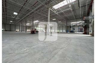 Büro zu mieten in 21218 Seevetal, NEUBAU - ab ca 1.038 m² bis ca. 8.168 m² Logistik-/Lagerfläche sowie Büro-/Sozialflächen