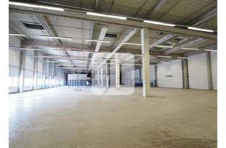 Büro zu mieten in 21423 Winsen (Luhe), ca. 2.500 m² Lager-/Fertigungsfläche sowie ab ca. 200 m² Büro-/Sozialflächen