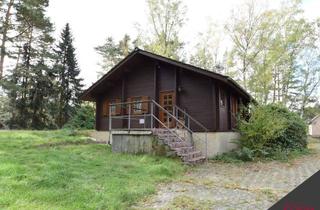 Grundstück zu kaufen in 38542 Leiferde, Grundstück mit Waldfläche und Ferienhaus in Leiferde OT Dalldorf zu verkaufen