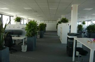 Büro zu mieten in 76135 Beiertheim-Bulach, Büro mit ca. 766 m² über 2 Etagen in Karlsruhe-Bulach