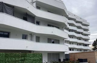 Wohnung mieten in Friedrich-Bassemir-Straße, 67071 Oggersheim, Neubauwohnung mit Komfort und Stil