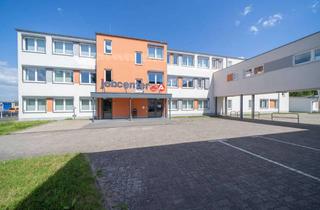 Gewerbeimmobilie mieten in Fichtenweg, 15306 Seelow, Kellerfläche in Seelow zu vermieten