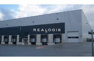 Gewerbeimmobilie mieten in 66386 St. Ingbert, NEUBAU: ca. 5.000 qm Lager- / Logistikflächen | Rampe + ebenerdig | ca. 10,50 m UKB