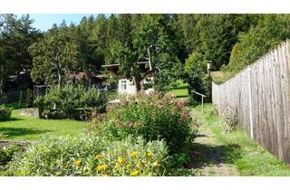 Haus kaufen in 07429 Rohrbach, Rohrbach - Selbstversorger aufgepasst. Sonniges Anwesen mit 2 Häusern, Garten und 14 ha Wald im Thüringer Wald