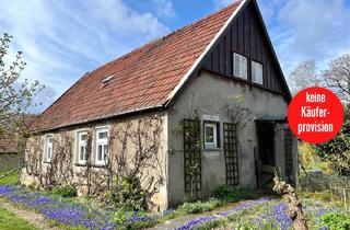 Einfamilienhaus kaufen in 17094 Holldorf OT Ballwitz, Holldorf OT Ballwitz - HORN IMMOBILIEN ++ Haus in Ballwitz bei Neubrandenburg in guter Lage + Nebengebäude