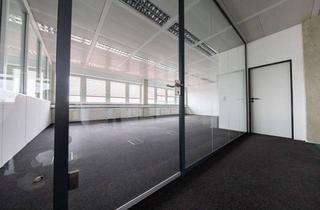 Büro zu mieten in 65451 Kelsterbach, 250qm teilbare Bürofläche + Tiefgaragenstellplätze in Kelsterbach