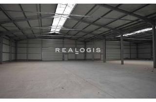 Gewerbeimmobilie mieten in 63579 Freigericht, Ca. 2.000 qm Lager- / Logistikflächen | ebenerdig | ca. 4,00 - 6,00 m UKB !