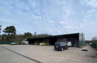 Gewerbeimmobilie mieten in Auepark 18-20, 21271 Hanstedt, Teilfläche in isolierter Werkstatthalle für LKWs, Bus und Landtechnik mit TÜV-Station