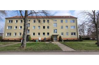 Wohnung mieten in Lindenallee 6a, 39249 Barby (Elbe), Ruhige 2,5 Zimmer Wohnung mit tollen Blick in Barby