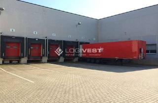 Gewerbeimmobilie mieten in 97469 Gochsheim, ***Exklusiv im Alleinauftrag*** Lagerhalle mit 5.300 Palettenstellplätzen - Provisionsfrei!