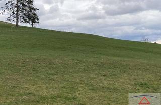 Gewerbeimmobilie kaufen in 86983 Lechbruck am See, Landwirtschaftliche Fläche mit ca. 2,4 ha Größe!